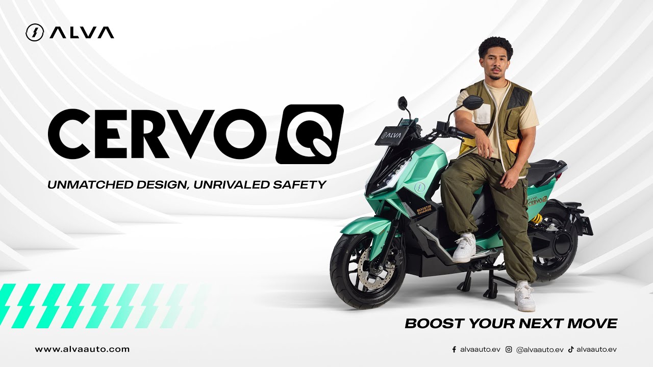 ALVA CERVO Q