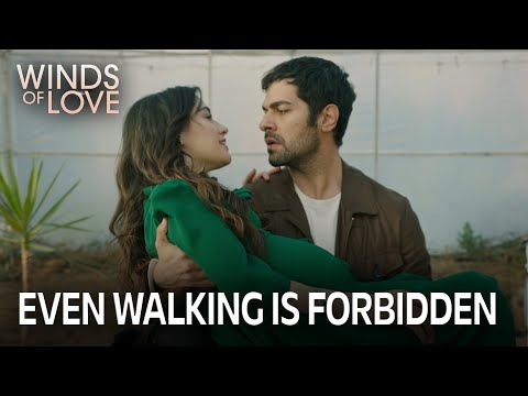 Halil'in babalık heyecanı | Rüzgarlı Tepe 217. Bölüm