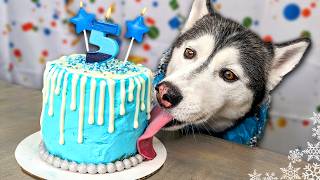 Magical Ice Princess Birthday Cake For Dogs ❄️ DIY Dog Treats