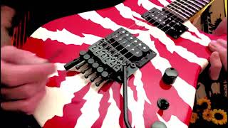 Tips for Floyd Rose Locking Tremolo systems