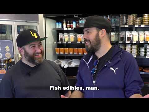 Tripping Kosher: Krudo - Miami, Florida