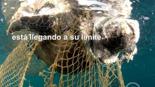 ¿Es posible una economía cero basura?