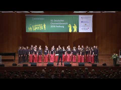 10. DCW-Preisträgerkonzert III: Karlsruher Kammerchor - Helmholtz-Gymnasium (Mai 2018)