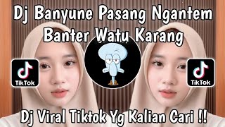 Download lagu DJ LAUT KIDUL | BANYUNE PASANG NGANTEM BANTER WATU KARANG MENGKANE FULL BASS VIRAL TIKTOK 2026  mp3