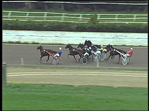 Trotto 22/10/2015 - 1° prova di qualifica