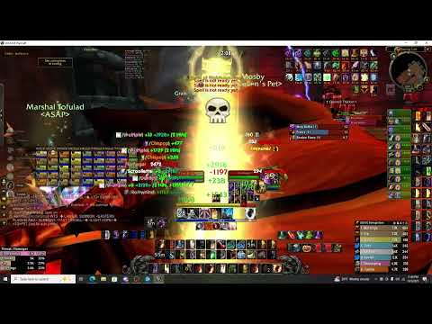 Flamegor BWL 20th Anniversary - Protection Paladin Main Tank