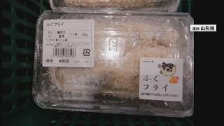 毒がある「尾ひれ」がついたフグの加工品　7月以降に100パックあまりを販売　鶴岡市の製造業者