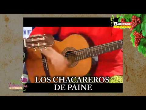 PROMOCIÓN FIESTA DE LA VENDIMIA BUIN 2015