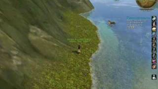 Alteno&#39;s Wedding Ring - Aion