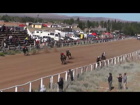 CLEMIRA Club Hípico "Viento Sur" - Cutral Co 11-12-2022