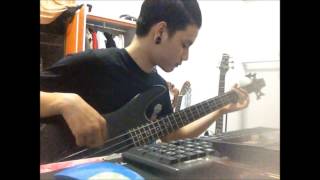 miss may i echoes bass cover