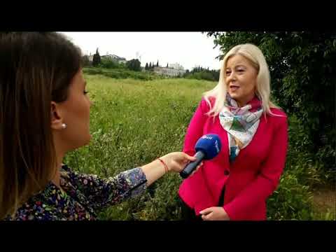 BOJE JUTRA - Kontrola voća i povrća iz domaće proizvodnje - Vesna Daković | Vijesti