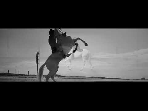 Betical feat. Tailor - Runnin (Official Video)