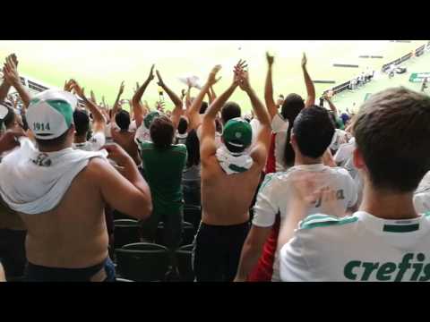 Da-lhe porco, da-lhe porco da-lhe porco - Mancha Alvi Verde