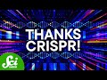 CRISPR Just Saved A Baby S Life Millions Could Follow