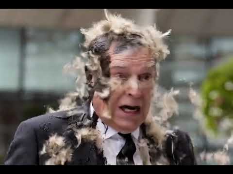 Mr Windsor, what a corker..😶‍🌫️