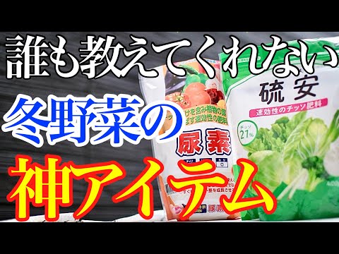 熱波の後にあなたの庭を救う天然肥料は何ですか?灼熱の夏のダメージを修復する6つのエリクサー  庭園