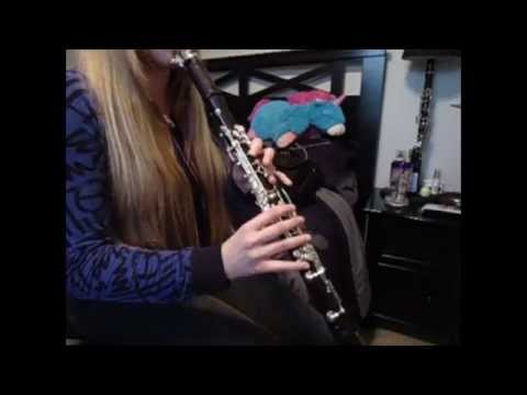 Fall Out Boy- My Songs Know What You Did In The Dark (Clarinet Cover)