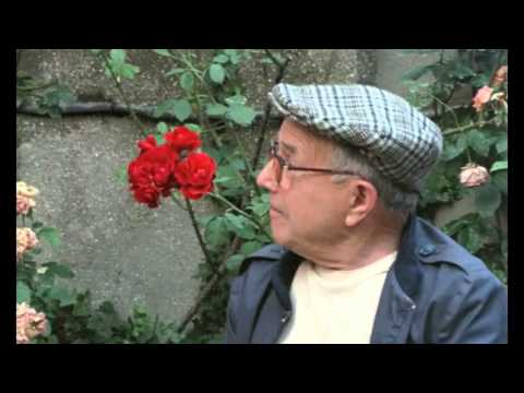 Painted Windows Episode 1: The Green Ray