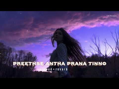 Preethse Antha Prana Tinno (slowed +reverb) Lofi Kannada song