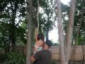 Tarzan Adventure