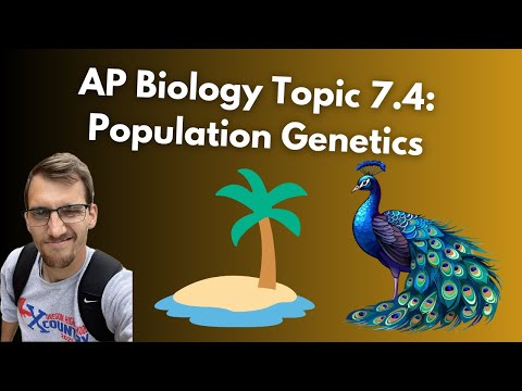(2019 curriculum) 7.4 Population Genetics - AP Biology