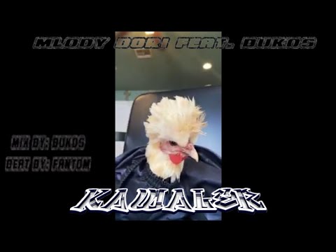 KDC 3 (Kawaler) ft. Bukoś beat by: Fantom
