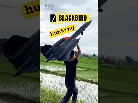 Fastest SR-71 RC Plane I’ve Ever Seen!
