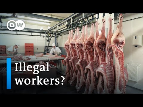 德國肉類行業陷入新的醜聞｜聚焦歐洲 (German meat industry caught up in new scandal | Focus on Europe)