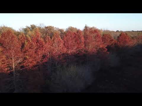 Archive 34 Video thumbnail