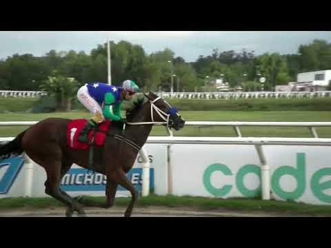 230325 c05 - SHINNY - HIPODROMO LAS PIEDRAS
