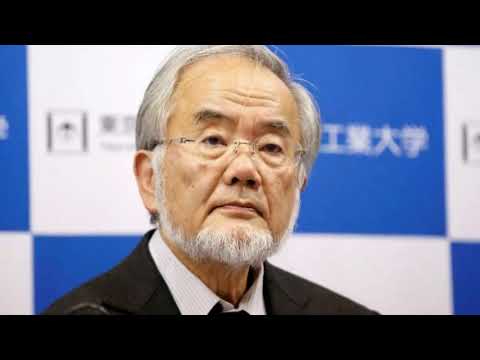 «Я не могу больше работать на ворованных советских патентах» откровение инженера Panasonic