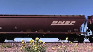 preview picture of video 'BNSF 4876 East, Ludlow, Ca'