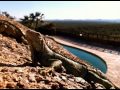 Benson Hedges Swimming Pool Commercial