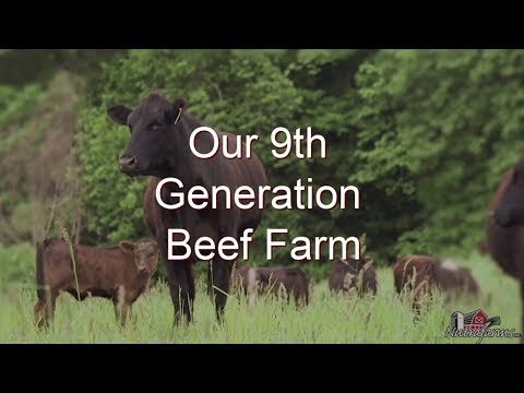 Our 9th Generation Ontario Beef Farm - Nutrafarms