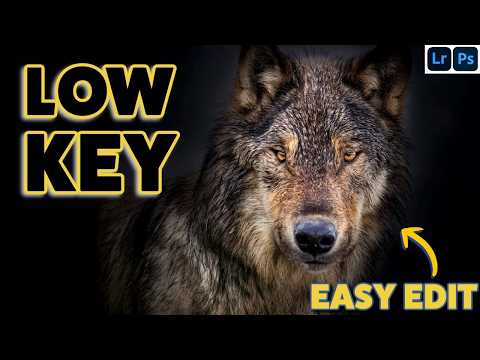Verwandeln Sie Wildtierfotos in atemberaubende Low-Key-Meisterwerke | Lightroom- und Photoshop-Tu...