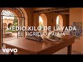 El Tigrillo Palma - Medio Kilo De Lavada (Visualizer)