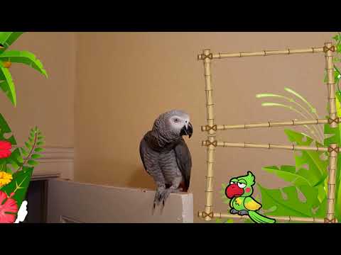 Bei Lilo ist alles Kacke :D