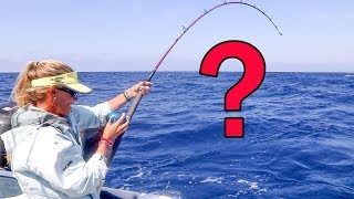 MONSTER Mistake on Deep Florida Wreck!