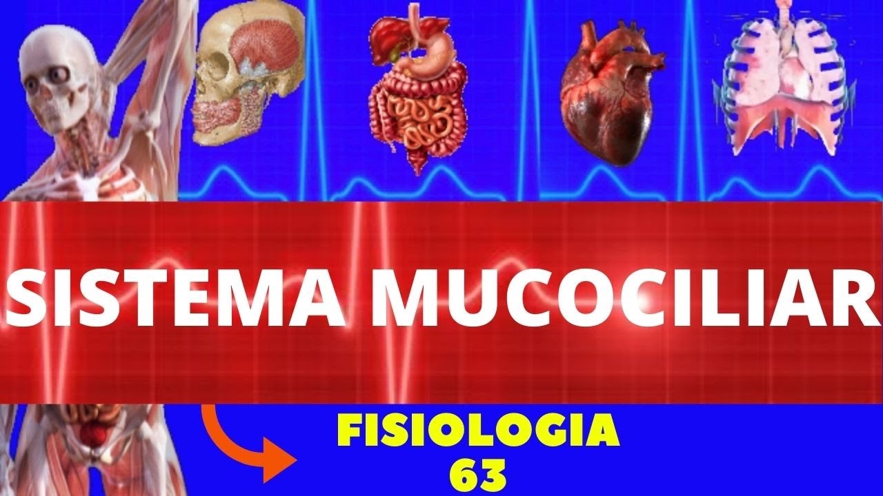 SISTEMA MUCOCILIAR RESPIRATÓRIO (FISIOLOGIA DE GUYTON) - FISIOLOGIA HUMANA - SISTEMA RESPIRATÓRIO