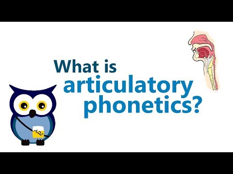 Articulatory Phonetics 1 - RE-UPLOAD IN HD