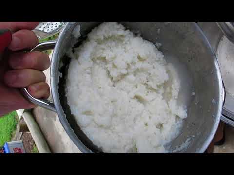 HBW #50 Rice Lager (Grain to Glass)