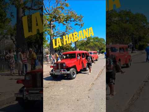 La Habana/Monte