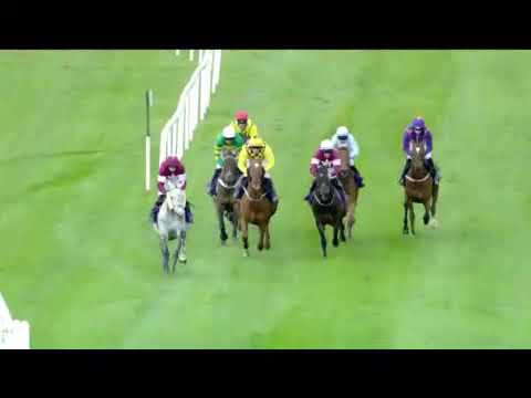 Buveur D'Air wins the Punchestown Champion Hurdle 2019