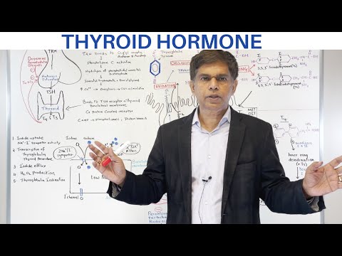THYROID HORMONE - AN OVERVIEW - By Pramil Cheriyath MD