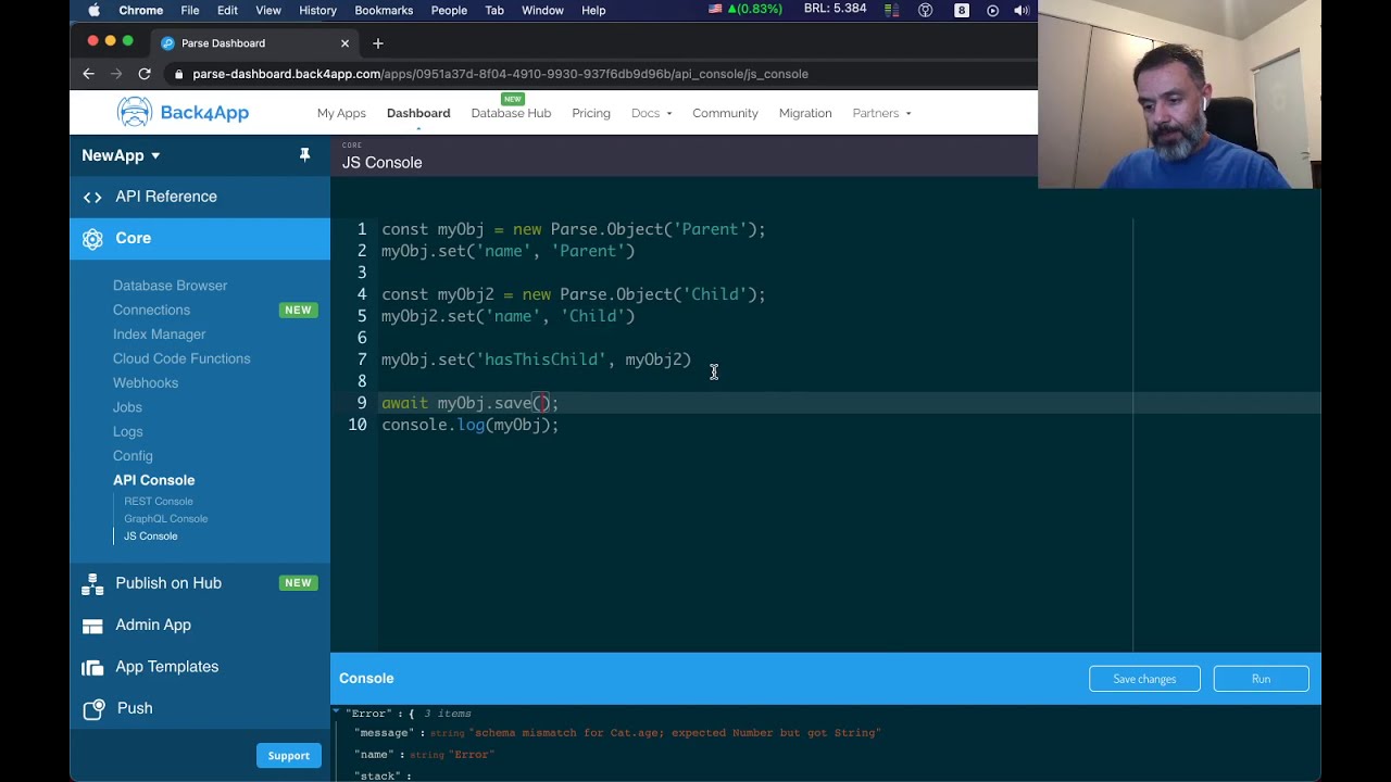 What is the JavaScript Console?