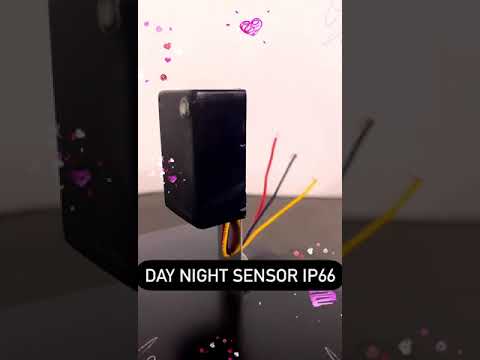 Day Night Switch