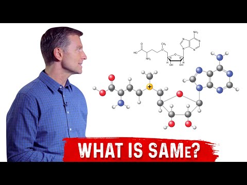 Informsation about s-adenosyl methionine