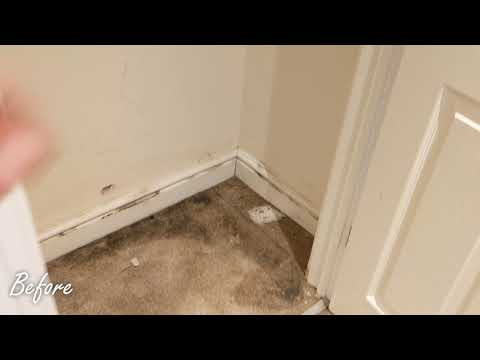 Kidderminster carpet cleaning of three apartments