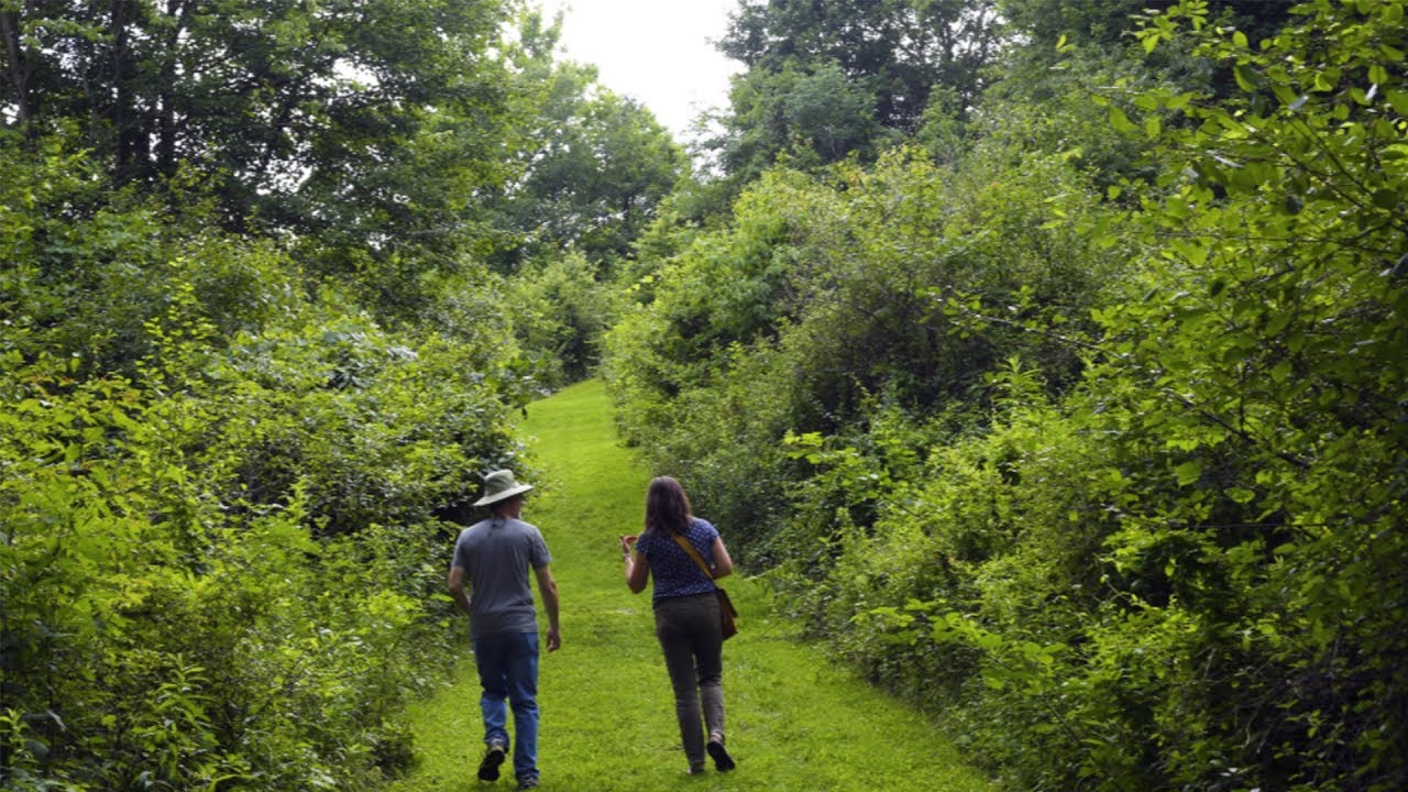 Destination Knox County 07-14-2019